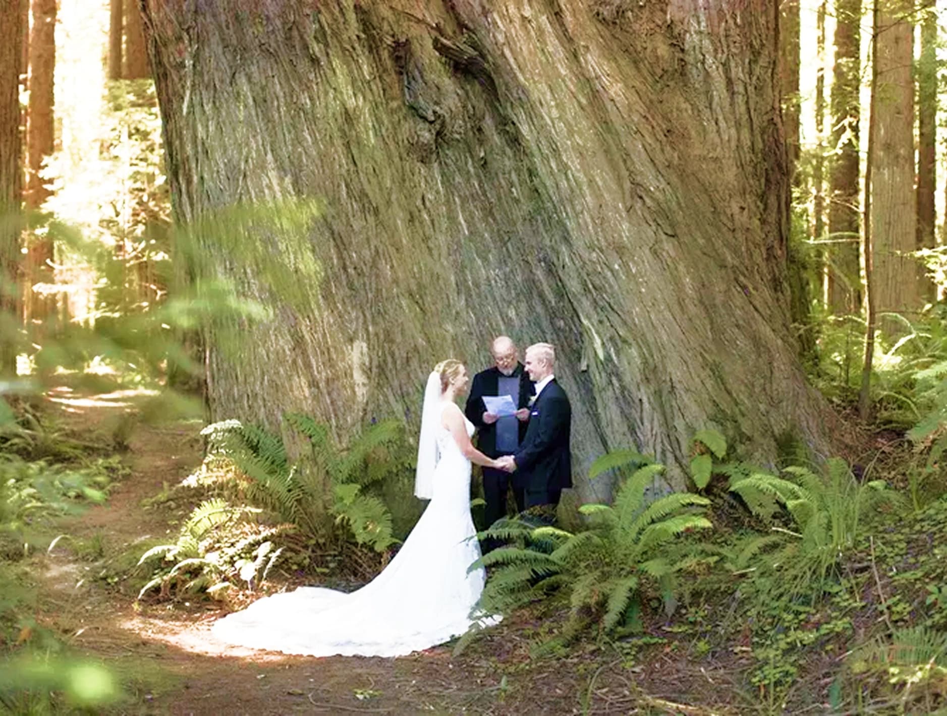 Intimate Elopements & Vow Renewals - 4