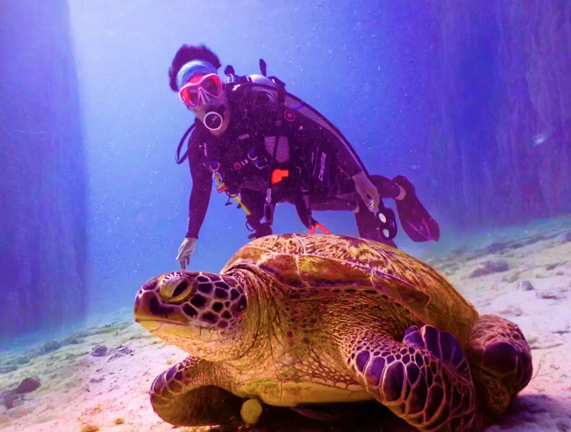 Dive and Snorkel the Caribbean